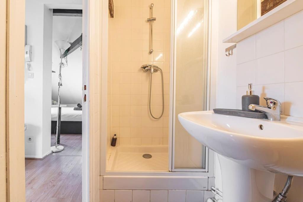 Lalique 540 Hypercentre Apartment Reims